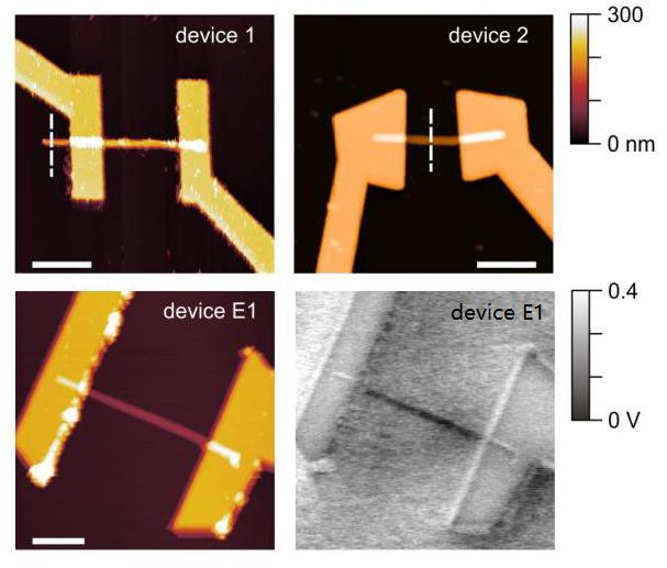 Nanotube Device