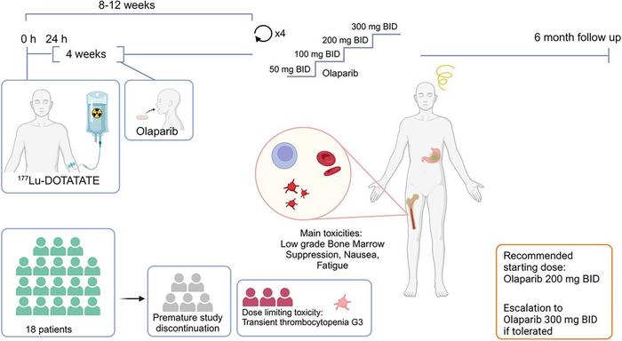 Overview of the phase I LuPARP study showing feasibility and recommended starting dose.