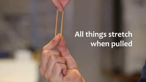 These structures shrink when pulled