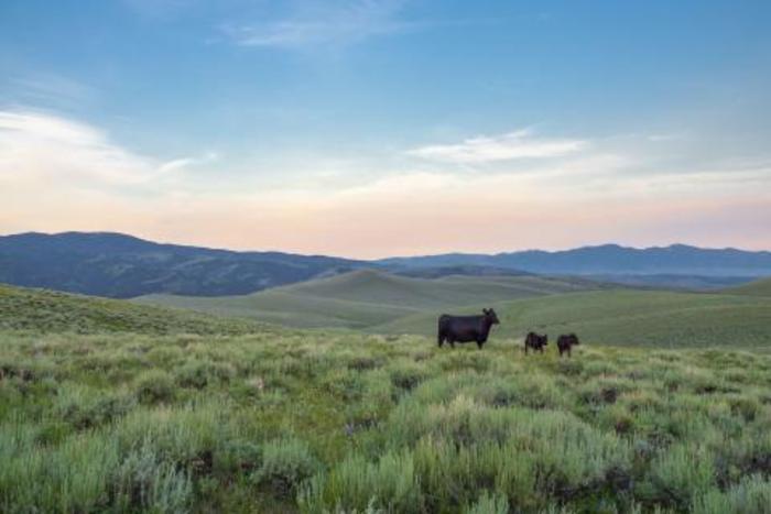 Stocksmart: a tool for range management