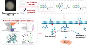 New anthraquinones with anti-MRSA activity from the fungus Stagonosporopsis sp.