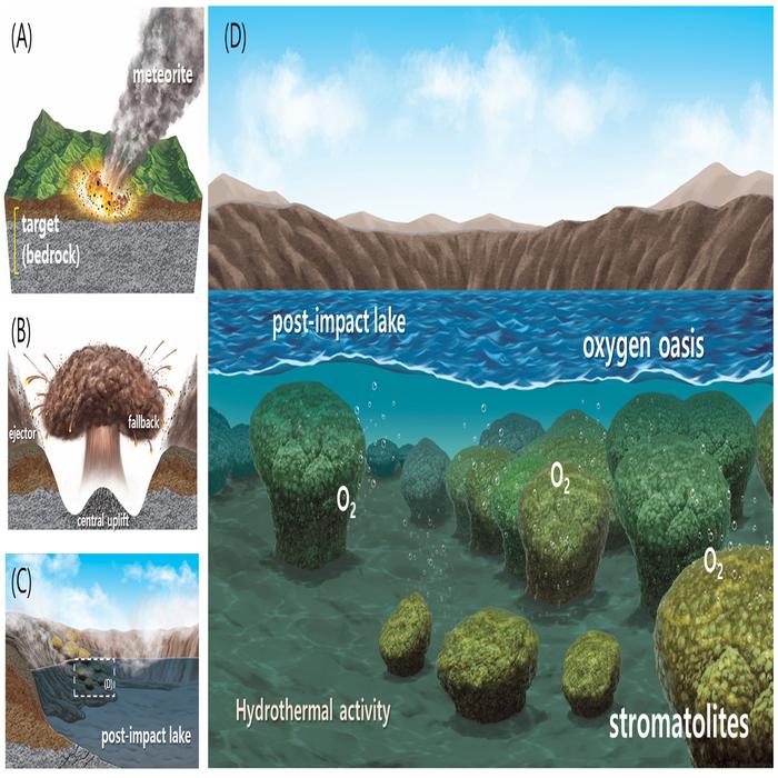 Illustration of Stromatolite Formation in Impact Crater