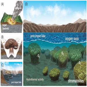 Illustration of Stromatolite Formation in Impact Crater