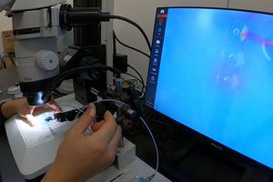 Genome editing experiment via microinjection