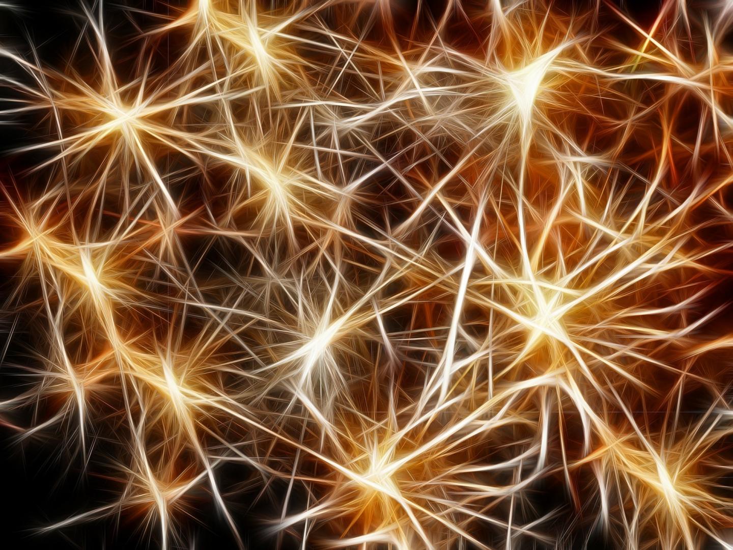 Illustration of Network