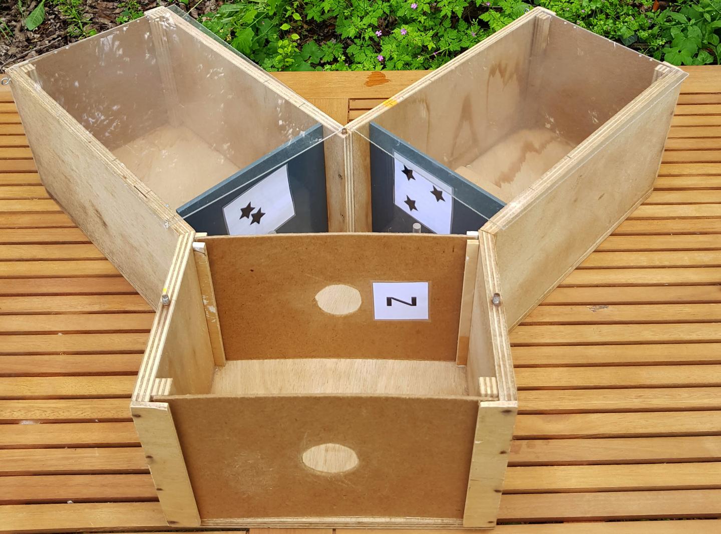 Y-shaped Maze