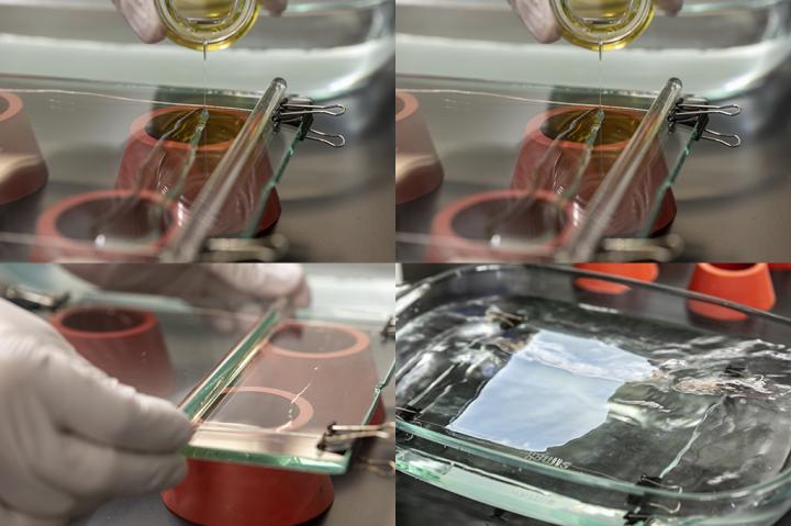 Membrane Fabrication