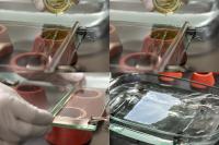 Membrane Fabrication