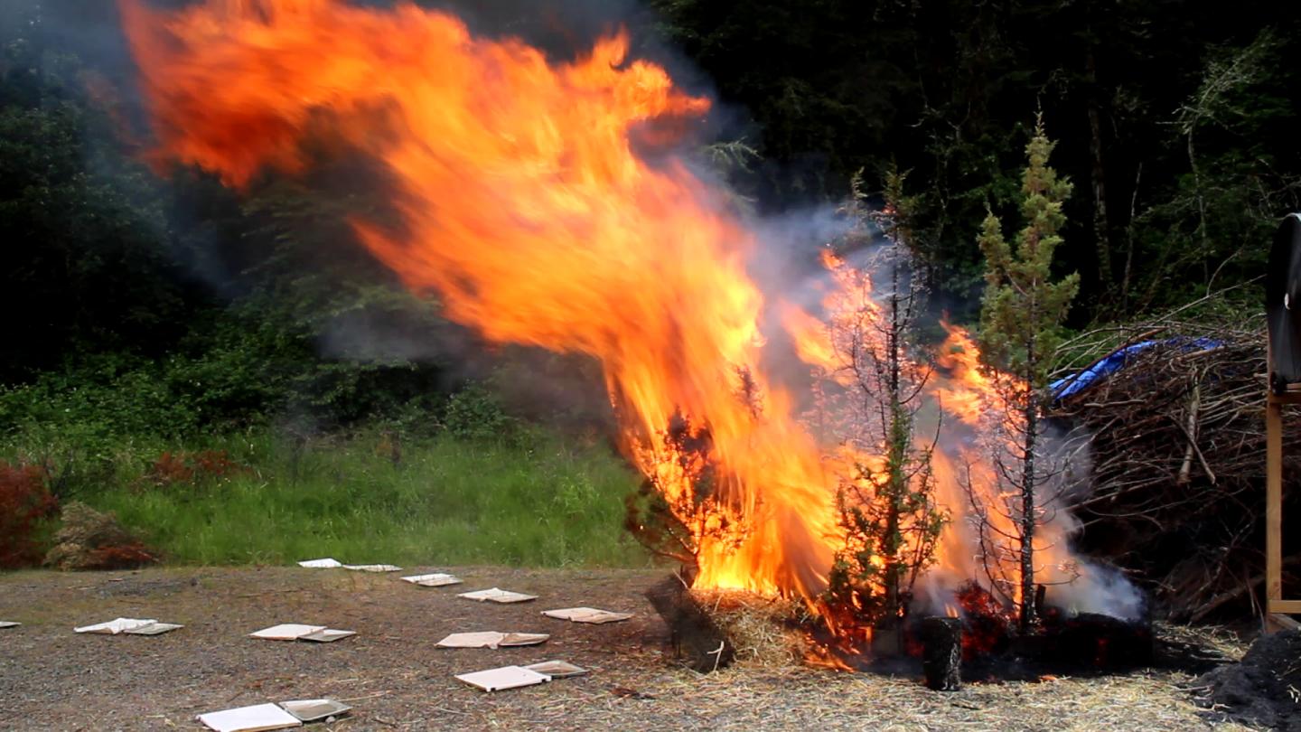 Wildfire Research