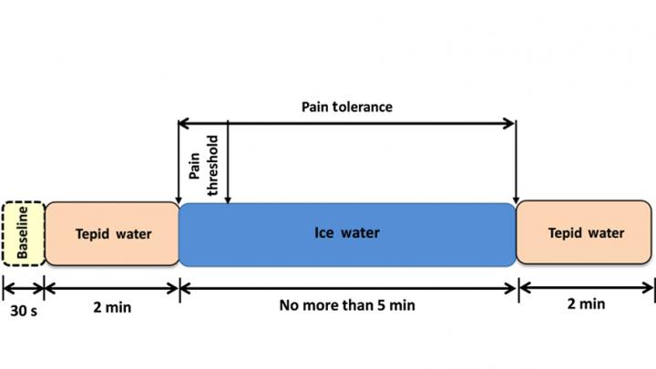 Block Diagram of the Cold Pressor Protocol