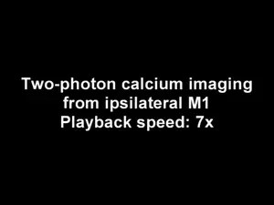 260422-Tachibana-Tics-Video