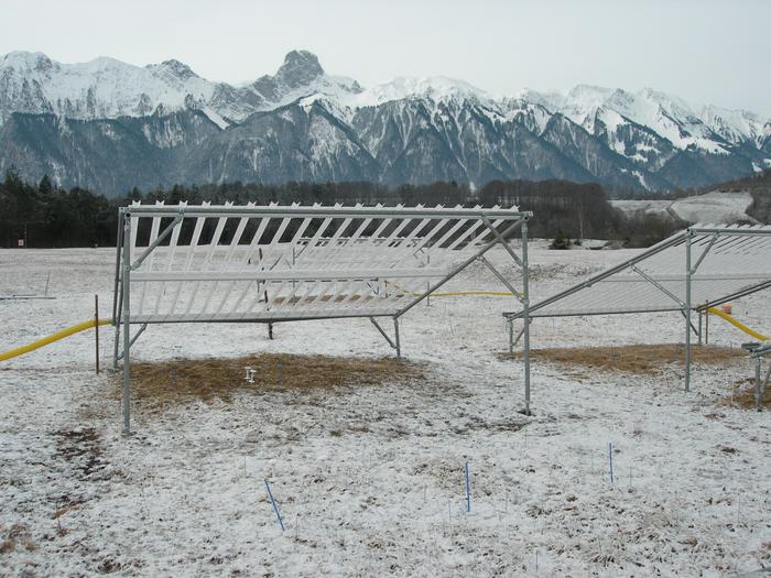 Experiment site Allmend in Switzerland