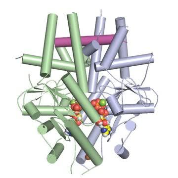 Tail-Anchored Protein Bound to Get3, Video