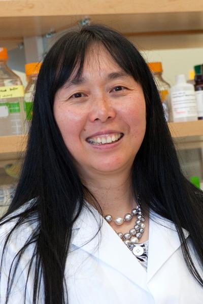 Qing-Xiang, Florida State University