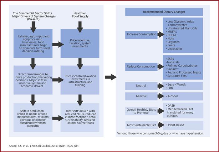 Diet, Cardiovascular Disease, and the Food System: Recommendations for Global Food System Changes for Sustainable Healthy Diet