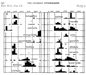 Bar Plots
