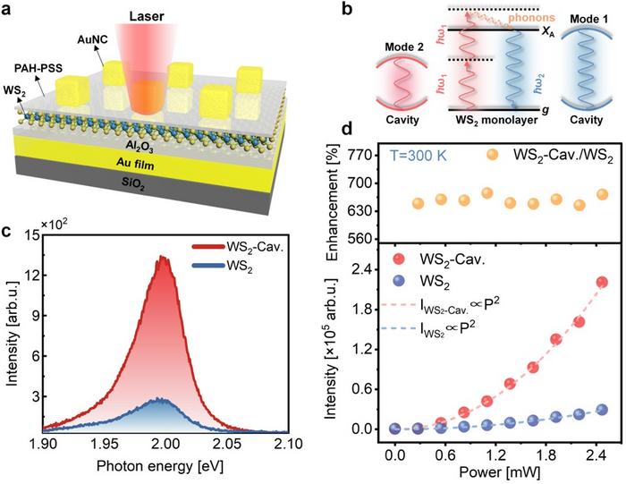 Figure 1 | Amplified excitonic upconverted emission by plasmonic cavity.