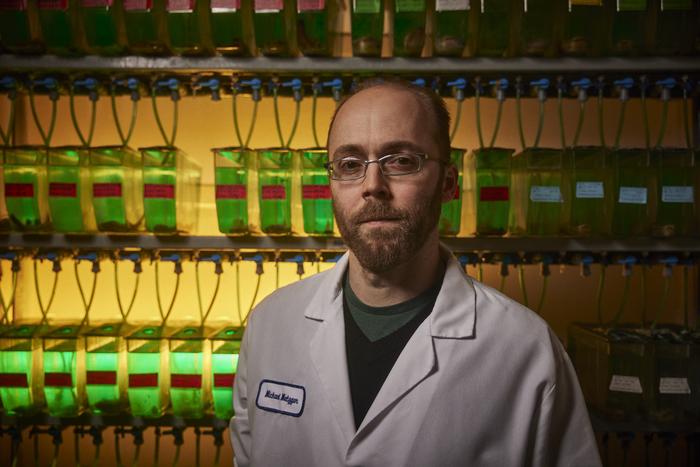 Michael Metzger, PhD