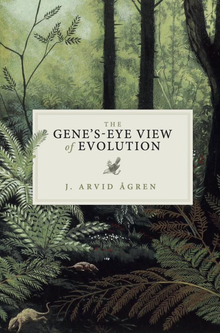 The Gene's-Eye View of Evolution