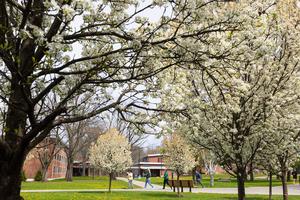 Binghamton University Campus