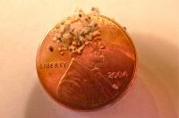 Tiny Beads