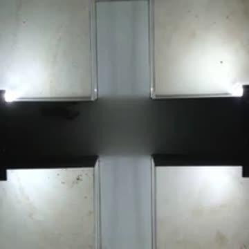 Anxious Crayfish Can Be Treated Like Humans (7 of 8)