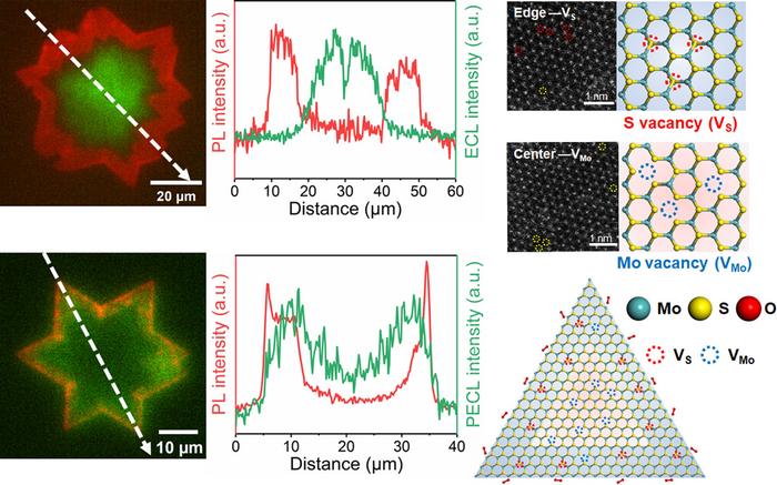 Multi-resolved imaging uncovers how distinct defects and charge carriers drive catalytic activity in 2D semiconductors during OER.