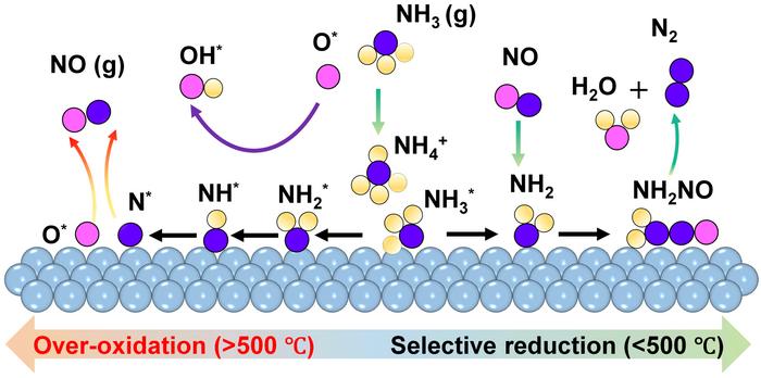 High-temperature NH3-SCR dual-dynamic reaction mechanism