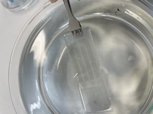 Graphene heart tattoo