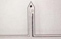 Implantable Device For Studying Neurotrauma