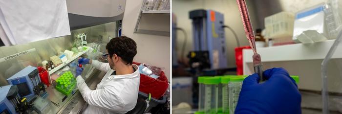 laboratory photos