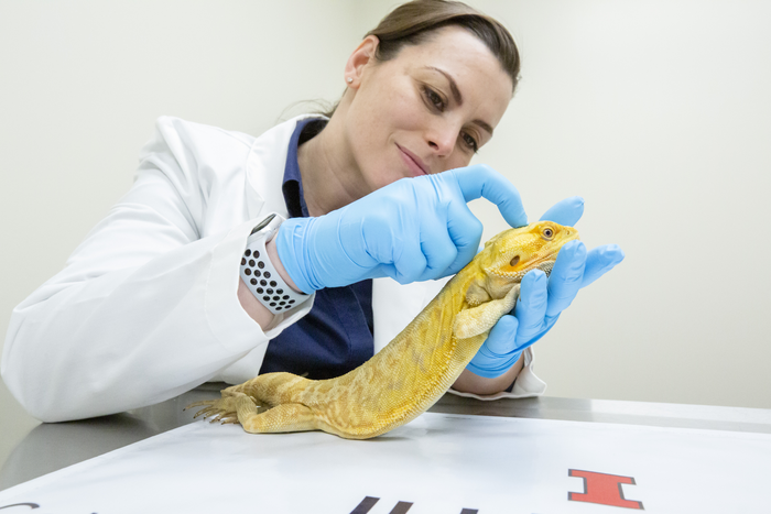 Krista Keller and bearded dragon
