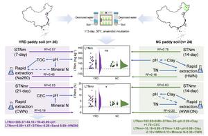 Nitrogen mineralization characteristics, drivers, and prediction in paddy soils of representative regions in the Yangtze River Delta and Northeast China