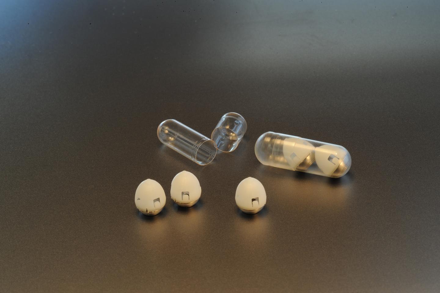 Oral Insulin