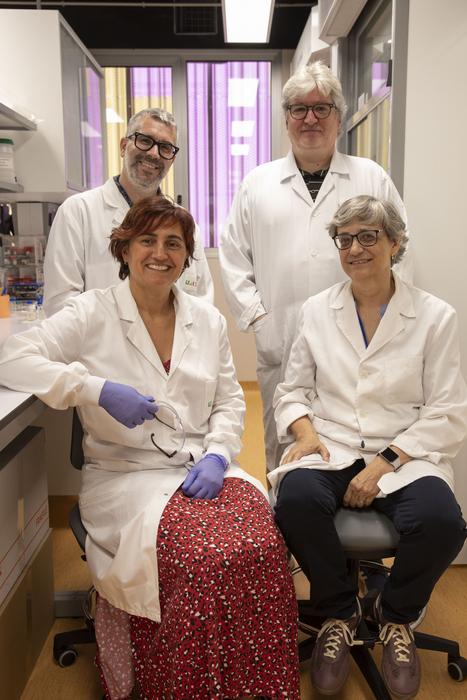 La UJI lidera un consorcio europeo para generar líneas de cítricos modificadas geneticamente con una mayor resiliencia al cambio climático y a los efectos de plagas y enfermedades