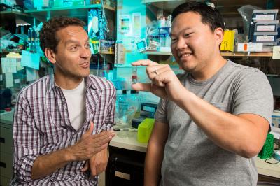 Martin Hetzer and Brandon Toyama, Salk Institute 