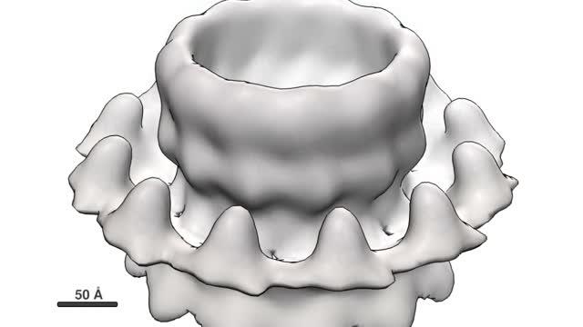 High-Resolution Imaging of "Crown" Structure