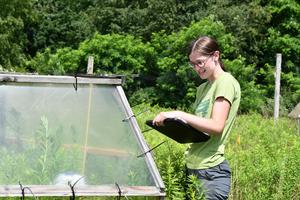 Simulating the effects of warming
