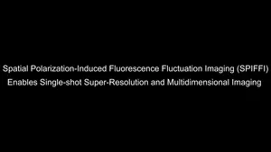 Video demonstrating the ability of SPIFFI to capture rapid cellular dynamics and extract molecular orientation at the same time.