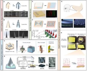 FIG. 3. 3D PRINTING STRATEGIES FOR FUNCTIONAL MN ENHANCEMENT.