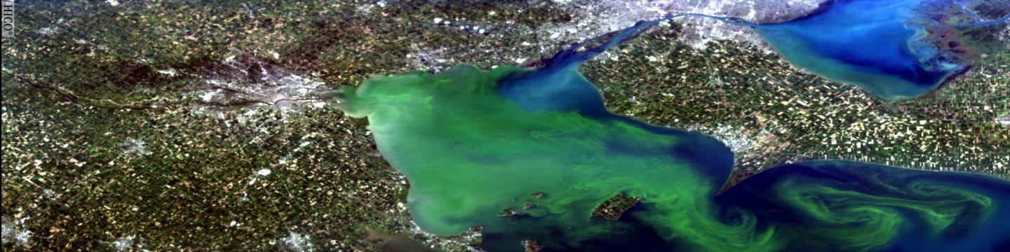 Algal Bloom