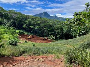 Soil erosion on Mo'orea