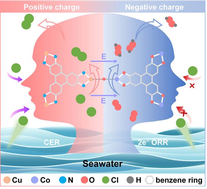 A Janus catalyst with split personalities for seawater electrolysis.