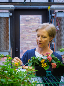 Ramaley Greenhouse