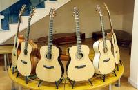 Guitars