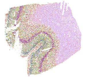 Science image
