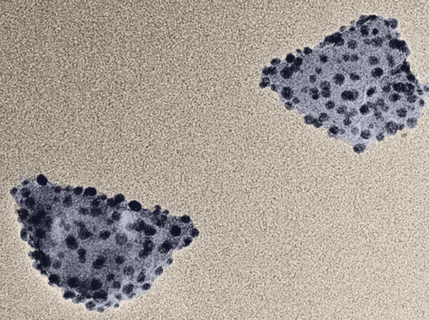 Nanodiamond/Silver Hybrid Particles -- 1