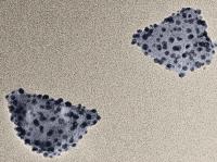 Nanodiamond/Silver Hybrid Particles -- 1