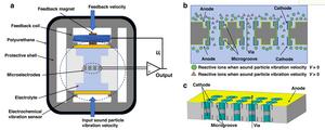 Structure and working principle of the co-oscillating electrochemical vector hydrophone based on integrated microelectrodes with microgrooves.