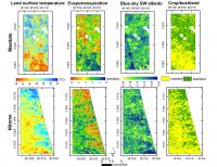 Impact of Land Cover Change